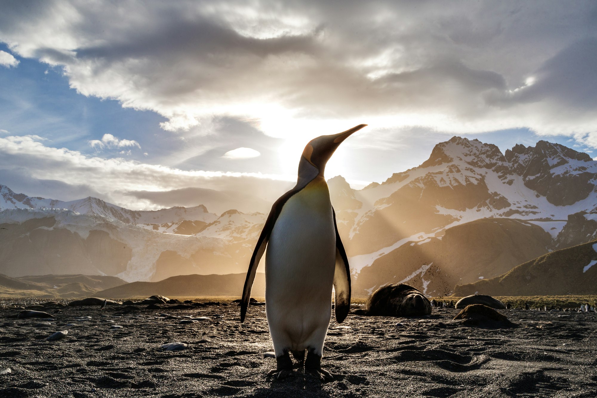 Featured image for Curadoria de Aprendizagem Linux